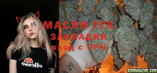 гашик Алексеевка