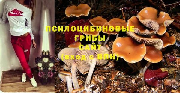 мескалин Алексин