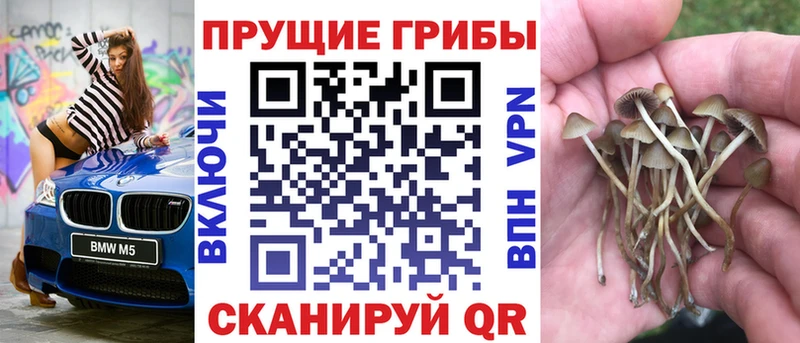 Галлюциногенные грибы ЛСД Канаш